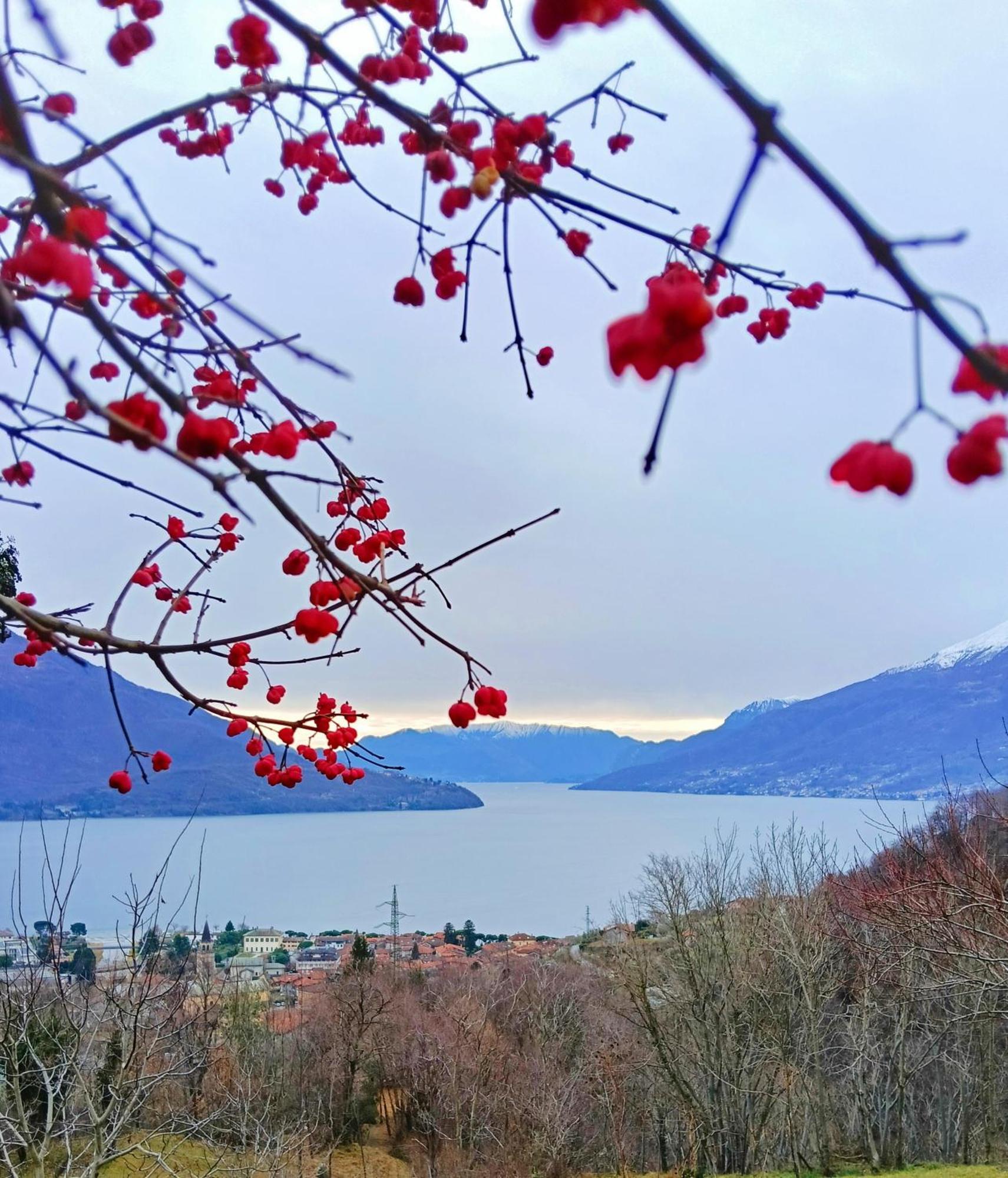 Lake Como Borgo Vignola Cremia 外观 照片